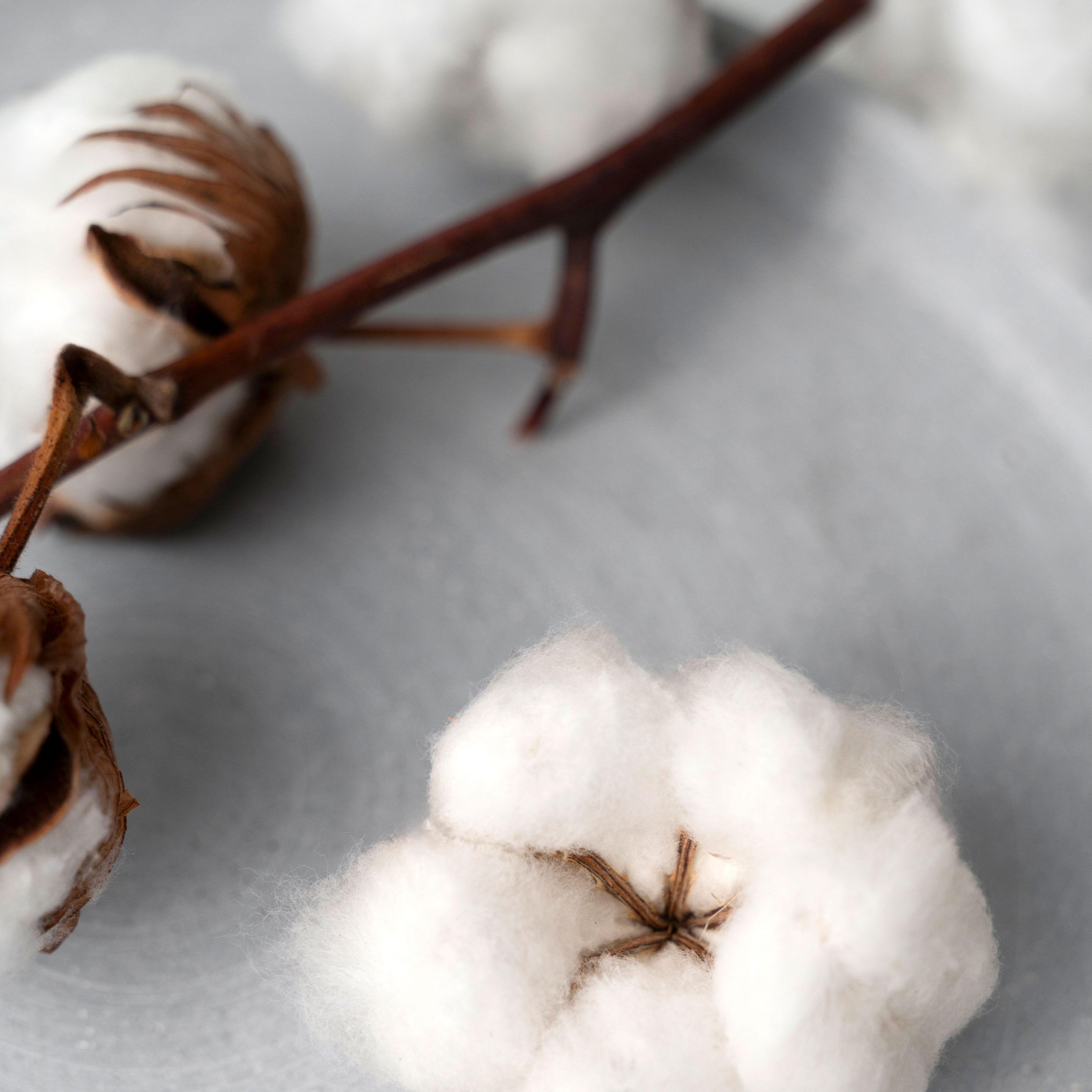 Geschirrtücher Baumwolle